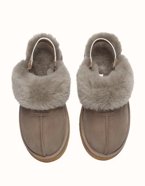 AUSTRALIAN SHEPHERD® Sp Suzie Platform
