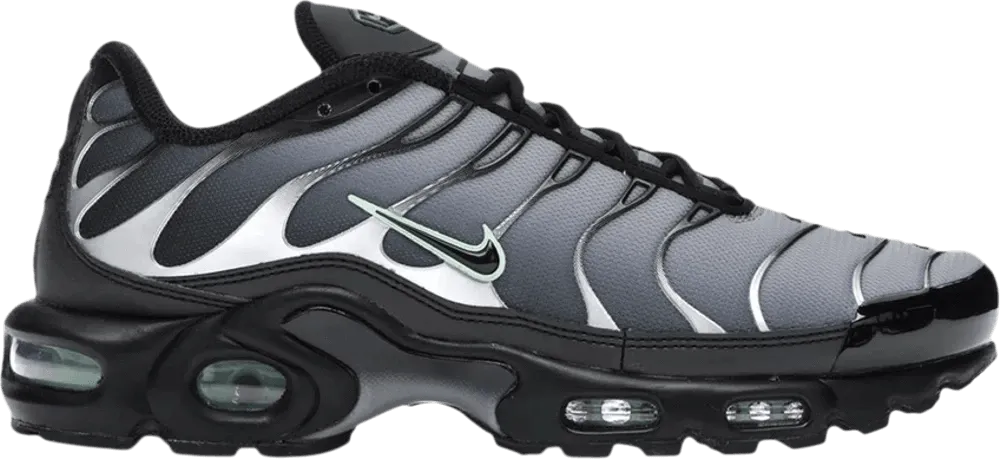 Nike Air Max Plus 'Particle Grey Vapour Green' (2020)